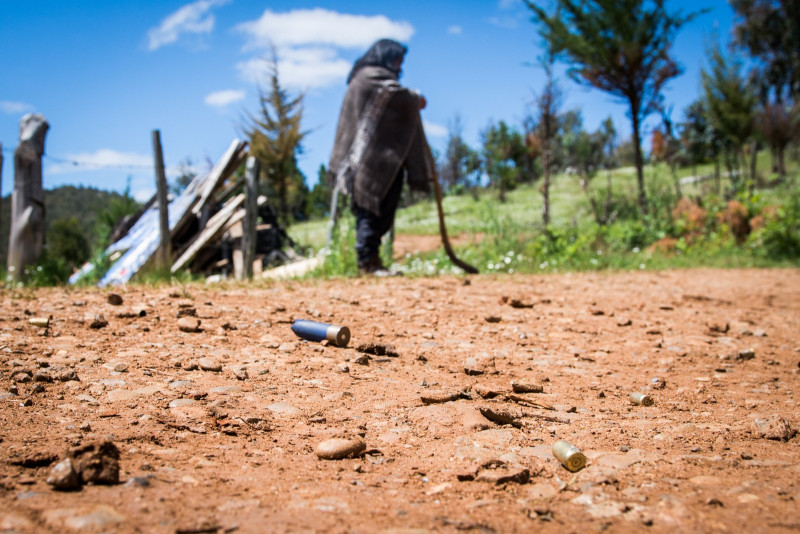 FONDO CAMILO TAPIA